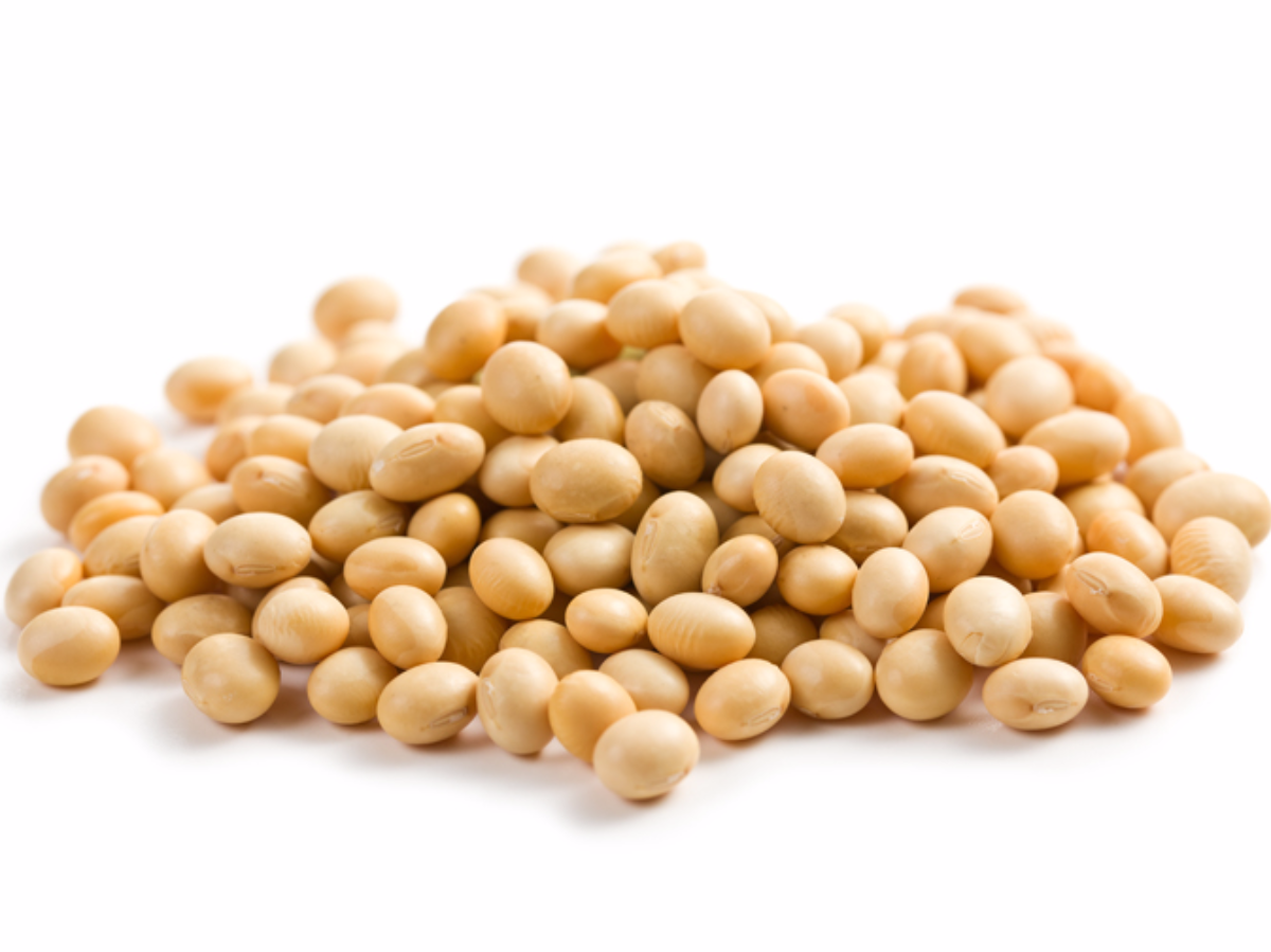Soybeans - Soybean Seed, Transparent background PNG HD thumbnail