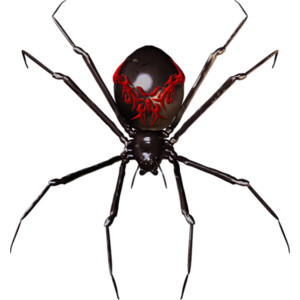 Spider Png - Spider, Transparent background PNG HD thumbnail