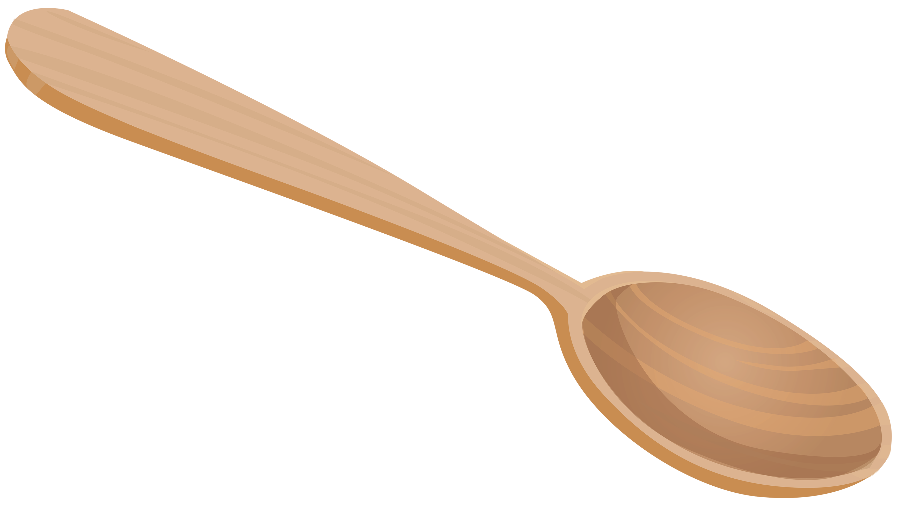 Steel Spoon PNG Clipart