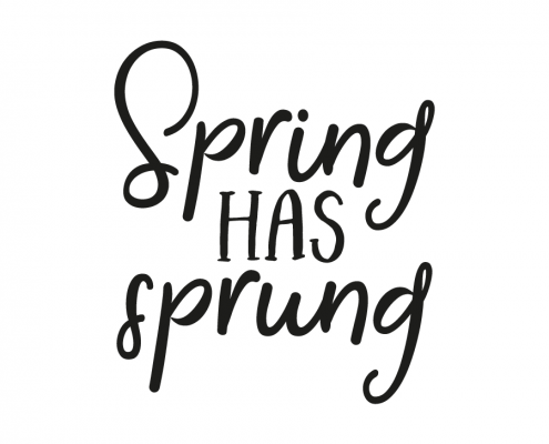 Spring Has Sprung - Spring Has Sprung, Transparent background PNG HD thumbnail