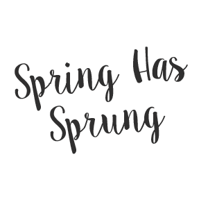 We Are So Excited To Stock This Stunning New Brand That Is Brought To You By The Same People Behind Luxurious Brands Betty Barclay And Vera Mont. - Spring Has Sprung, Transparent background PNG HD thumbnail