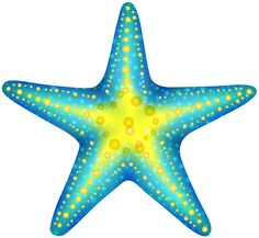 Blue Starfish Png Clip Art - Starfish, Transparent background PNG HD thumbnail