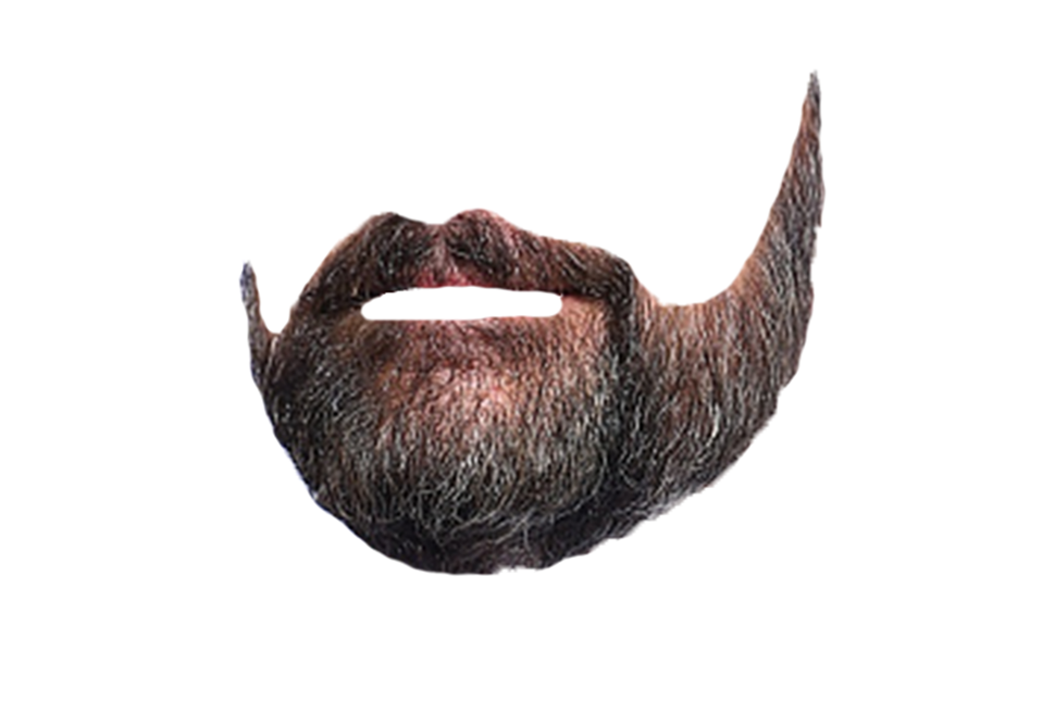Steve Carrell Beard.png - Beard, Transparent background PNG HD thumbnail