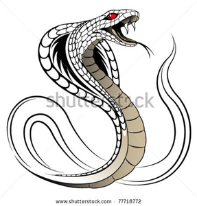 Stock Vector Snake Cobra In The Form Of A Tattoo Image - Snake Tattoo, Transparent background PNG HD thumbnail