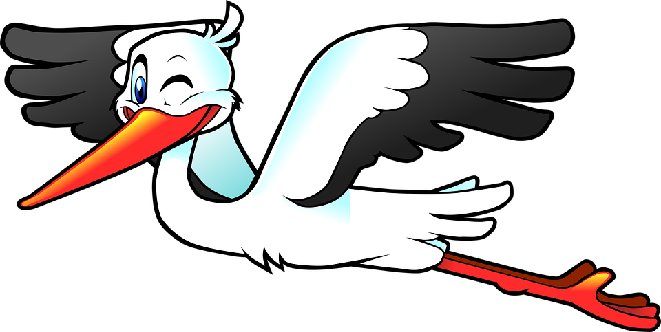 Stork, Bird, Fly, Wings, Anthropomorphized, Cartoon - Stork, Transparent background PNG HD thumbnail