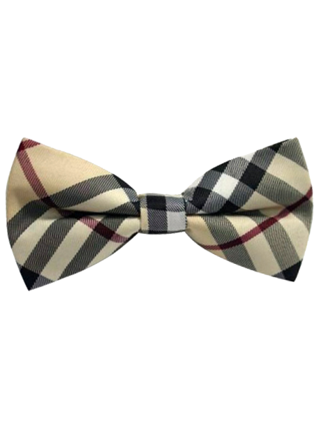 Hautebutch Tan U0026 Russet Striped Bow Tie - Striped Bow Tie, Transparent background PNG HD thumbnail