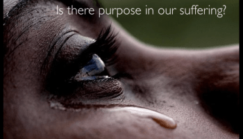 Finding The Purpose In Our Suffering - Suffering, Transparent background PNG HD thumbnail