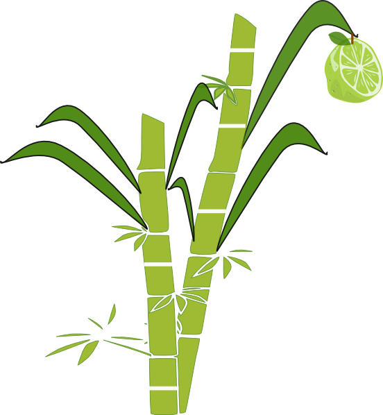 Download This Image As: - Sugar Cane Black And White, Transparent background PNG HD thumbnail