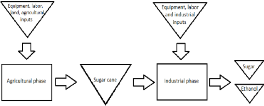 Fig. 1. Flow Of The Production Process Of The Sugarcane Agribusiness System. - Sugar Cane Black And White, Transparent background PNG HD thumbnail