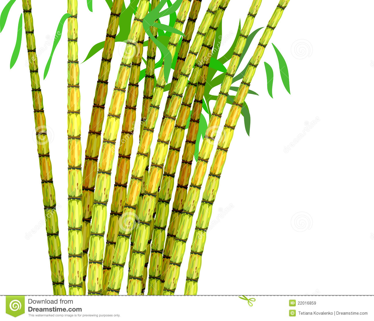 Sugar Cane Clipart Png - Sugar Cane Black And White, Transparent background PNG HD thumbnail