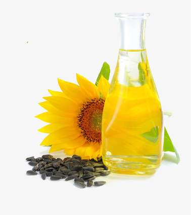 Fresh Sunflower Oil Free Png - Sunflower Oil, Transparent background PNG HD thumbnail
