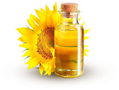 Sunflower Oil Png - Sunflower Oil, Transparent background PNG HD thumbnail