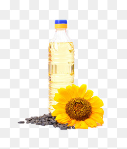 Sunflower Oil, Sunflower, Cooking Oil, Oil Seeds Png Image - Sunflower Oil, Transparent background PNG HD thumbnail
