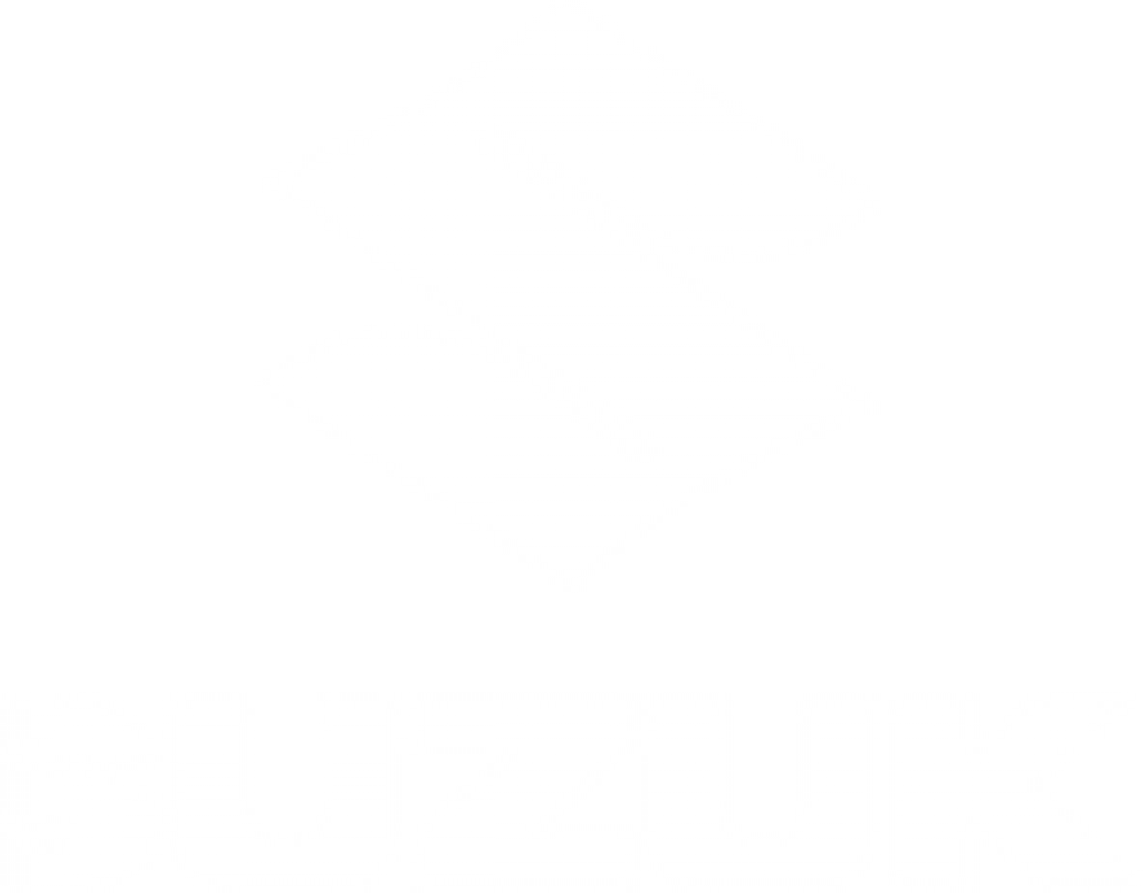 Download Suzuki White Logo   Suzuki Logo On Black   Full Size Png Pluspng.com  - Suzuki, Transparent background PNG HD thumbnail