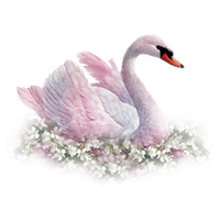 Swan Download Png Png Image - Swan, Transparent background PNG HD thumbnail