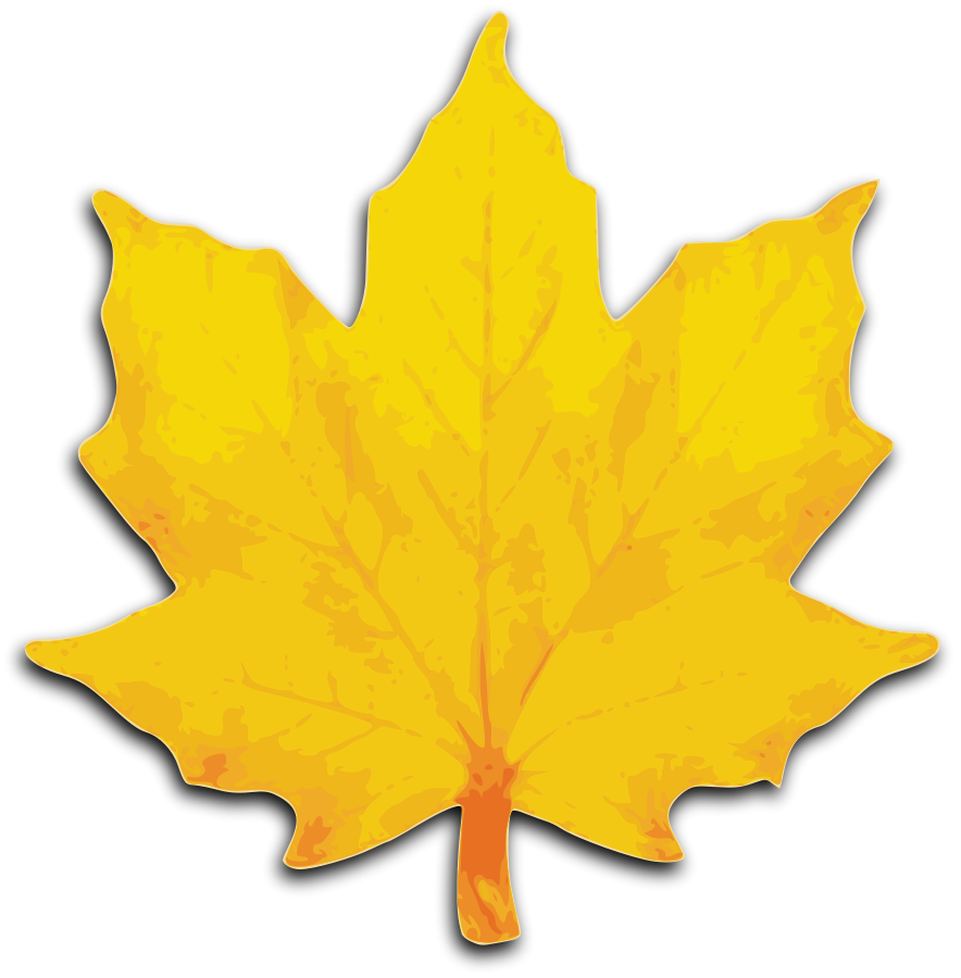 Pin Leaf Clipart Sycamore Tree #7 - Sycamore Tree Leaf, Transparent background PNG HD thumbnail
