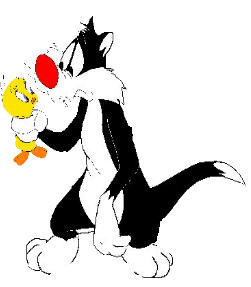 Sylvester Images Sylvester Catches Tweety Wallpaper And Background Photos - Sylvester, Transparent background PNG HD thumbnail