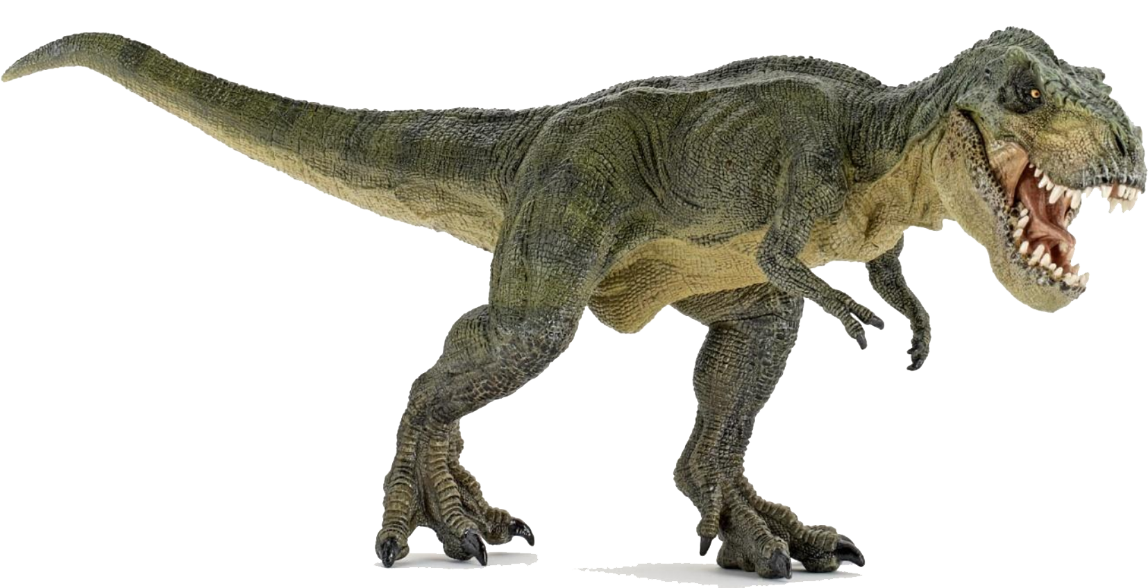 T Rex Dinosaurs Png - Download Dinosaur Png Images Transparent Gallery. Advertisement, Transparent background PNG HD thumbnail