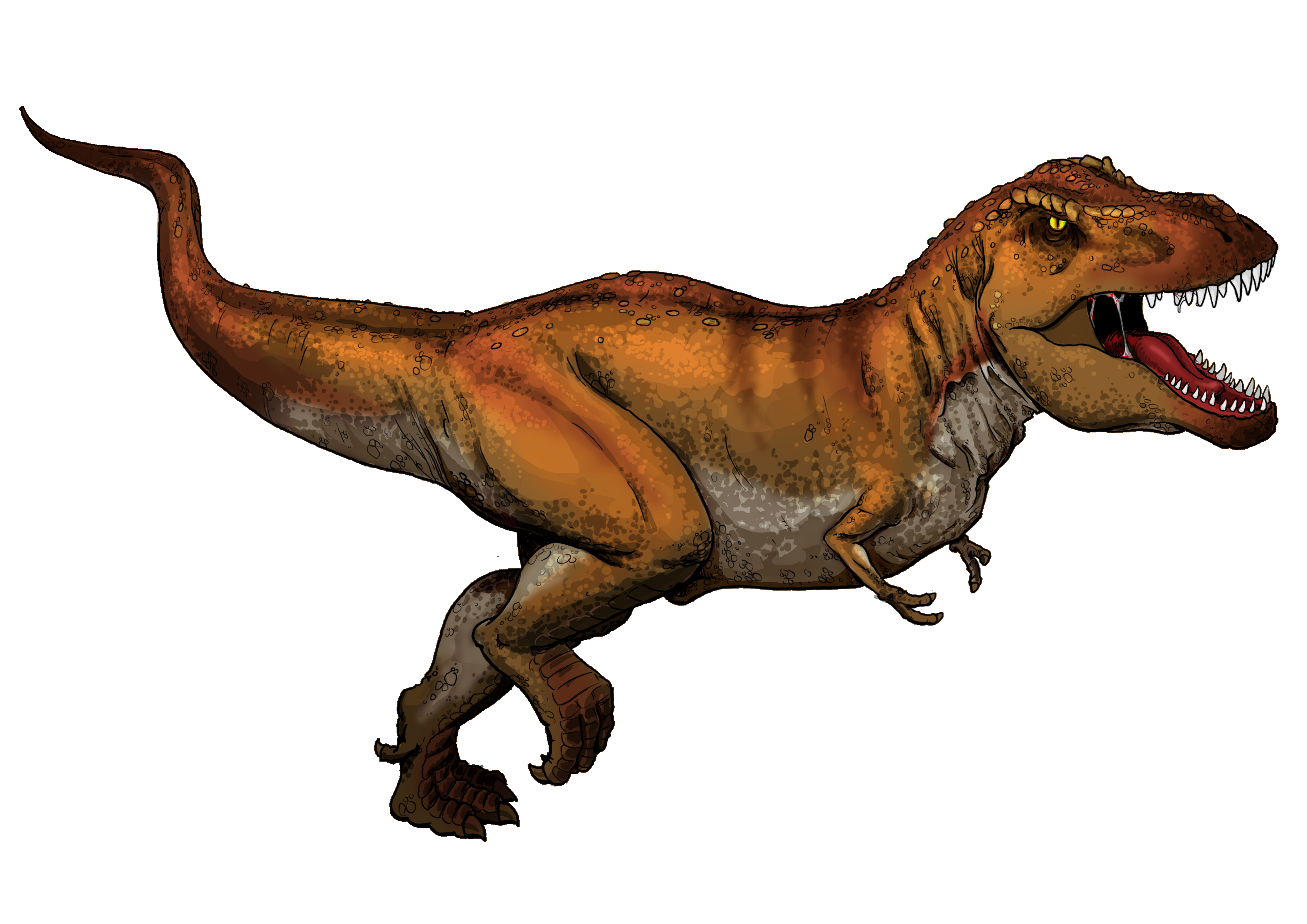 File:tyrannosaurus Rex Colored.png - T Rex Dinosaurs, Transparent background PNG HD thumbnail