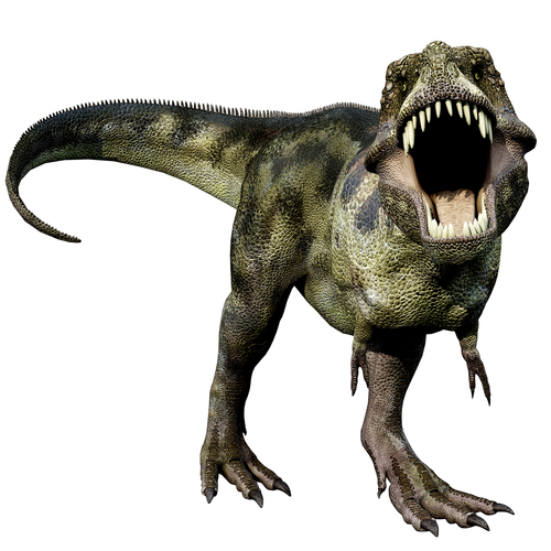 T Rex Dinosaurs Png - Shutterstock_64178935.jpg, Transparent background PNG HD thumbnail