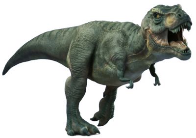 T Rex Psd49647.png (400×281) | Tyrannosaurs Rex | Pinterest | Tyrannosaurus And Prehistoric - T Rex Dinosaurs, Transparent background PNG HD thumbnail