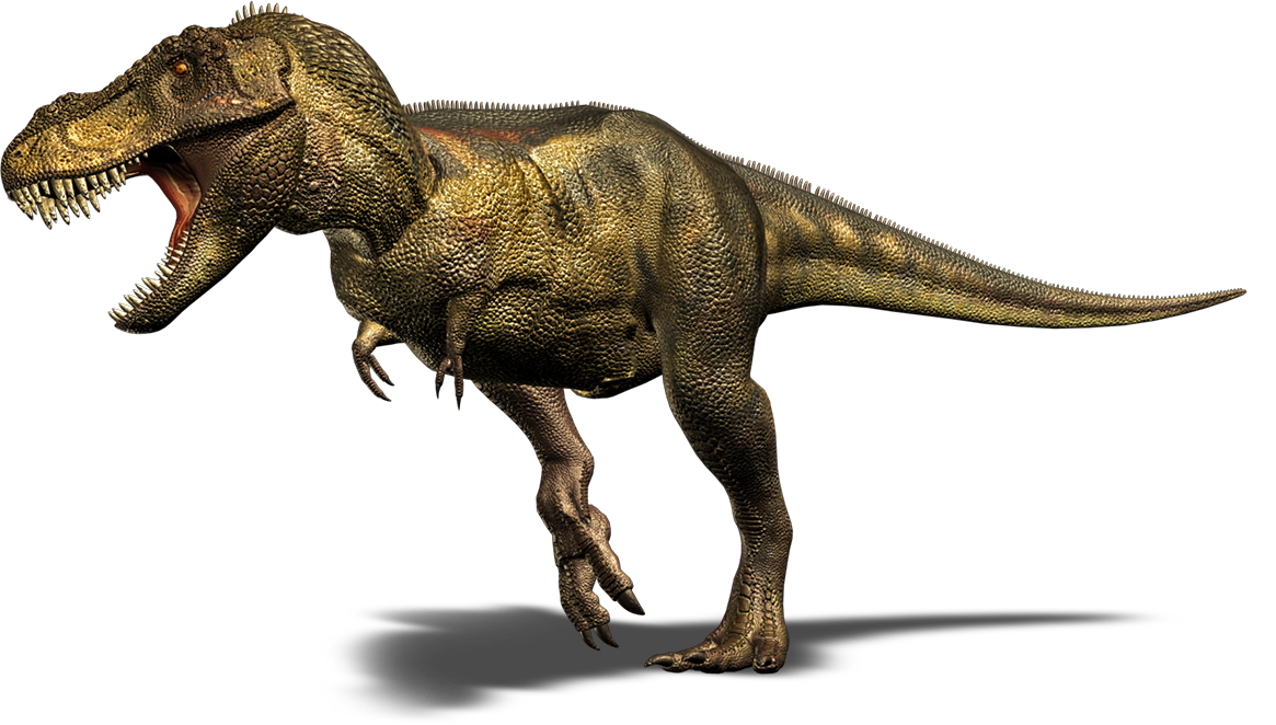 T Rex Dinosaurs Png - Tyrannosaurus Rex.png, Transparent background PNG HD thumbnail