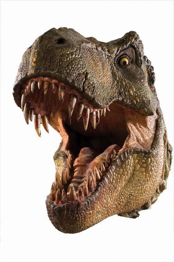 roaring T-rex head by andunge