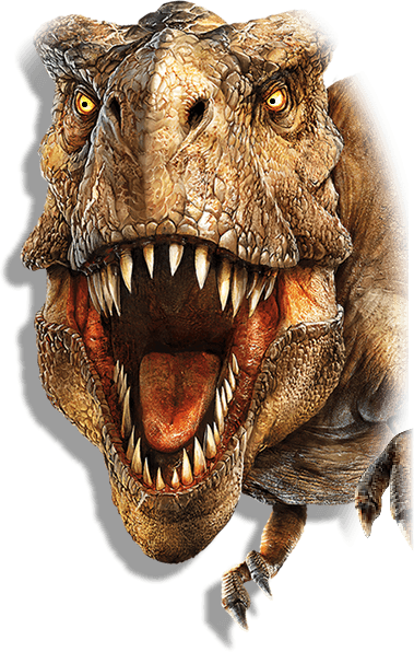 Pin Drawn Tyrannosaurus Rex Mouth Open #9 - T Rex Head, Transparent background PNG HD thumbnail