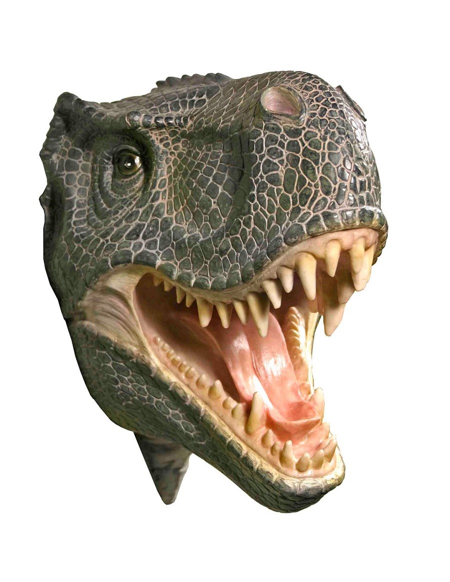 T Rex Dinosaur Attack Plaque   3D Wall Trophy - T Rex Head, Transparent background PNG HD thumbnail