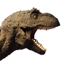 . Hdpng.com Task Of Animating That Makes Stop Motion Projects Take So Long To Create, In This Case Most Of Our Time Was Spent Constructing The Dinosaur Models. - T Rex Head, Transparent background PNG HD thumbnail