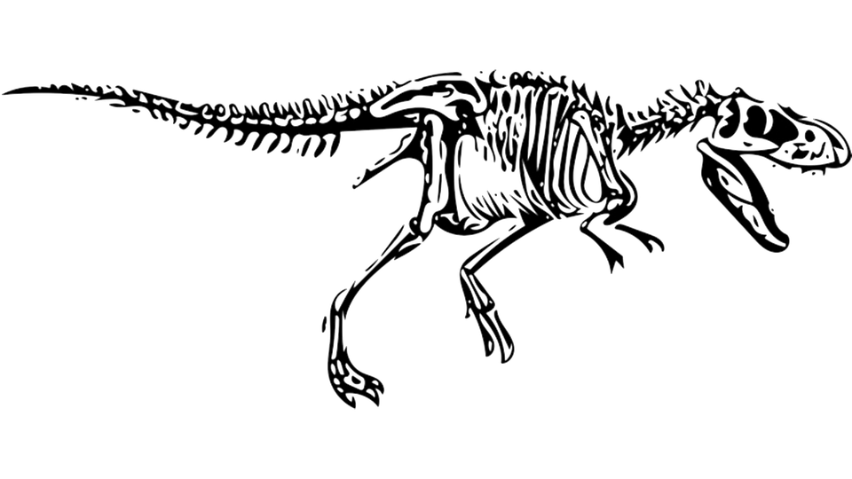 Dinosaur, T Rex, Tyrannosaurus, Fossil - T Rex Black And White, Transparent background PNG HD thumbnail