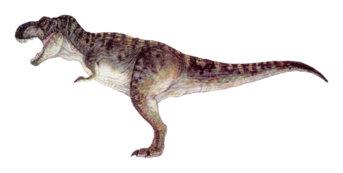 T Rex Dinosaur Facts Dinosaur