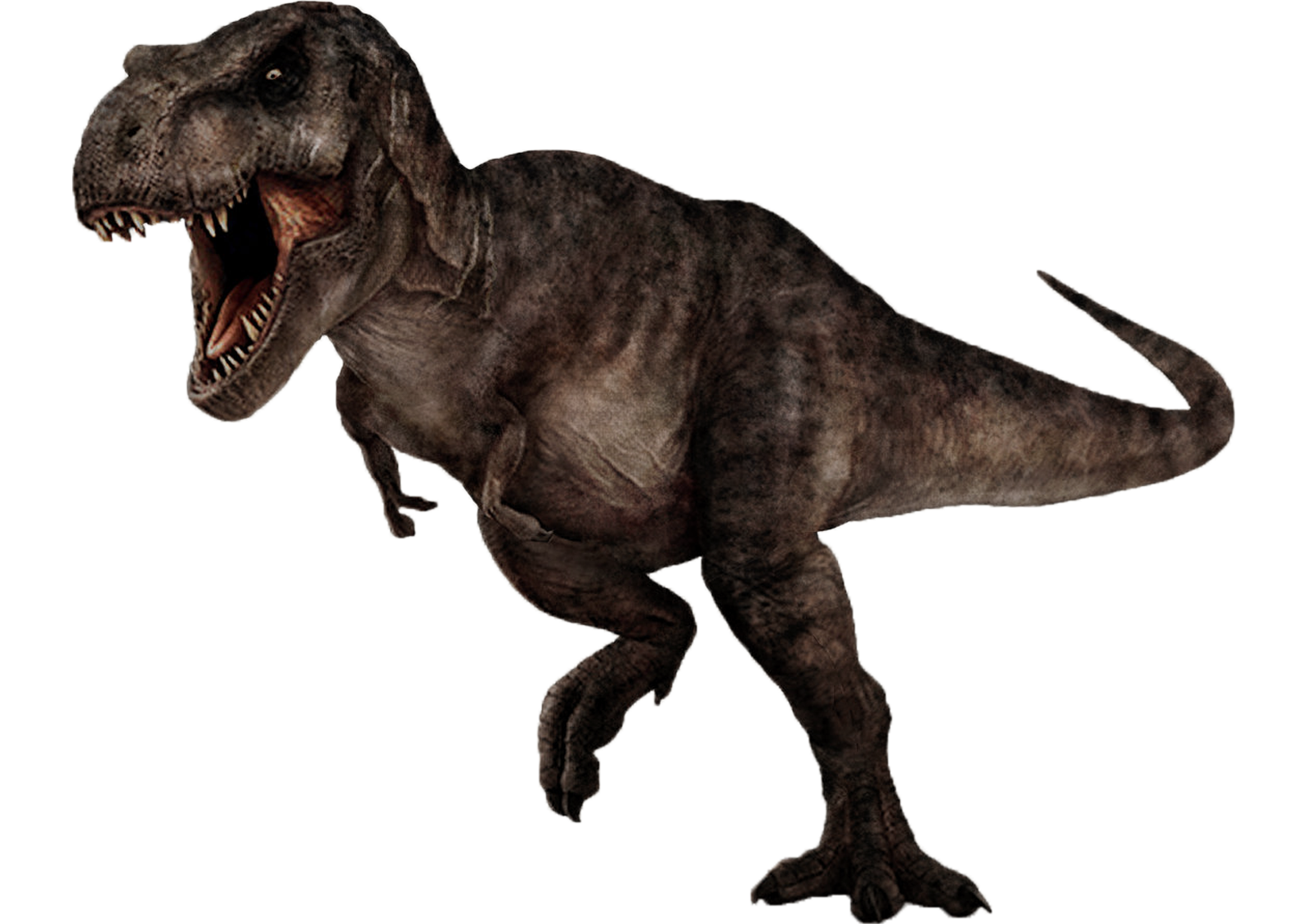 Tyrannosaurus Rex 2 By Darbarrrr - T Rex, Transparent background PNG HD thumbnail