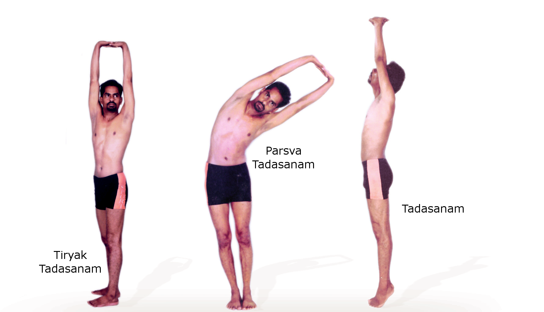Stand Hdpng.com  - Tadasana Yoga Pose, Transparent background PNG HD thumbnail