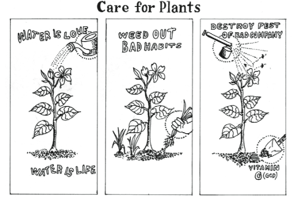 Taking Care Of Plants Png Black And White - Plants U201C, Transparent background PNG HD thumbnail