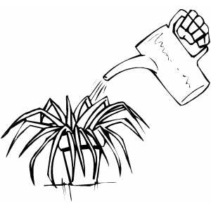 Watering Plant Coloring Page - Taking Care Of Plants Black And White, Transparent background PNG HD thumbnail