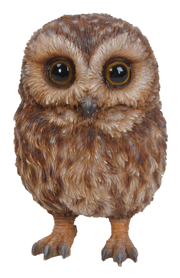 Image Of Pet Pals Baby Tawny Owl   Resin Garden Ornament - Tawny Owl, Transparent background PNG HD thumbnail