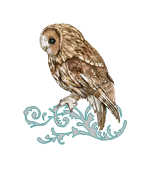 Tawny Owl Ornament by Vivid A