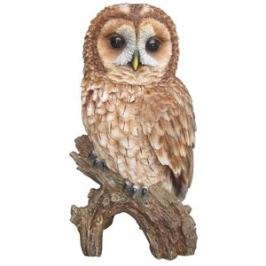 Tawny Owl Ornament By Vivid Arts - Tawny Owl, Transparent background PNG HD thumbnail