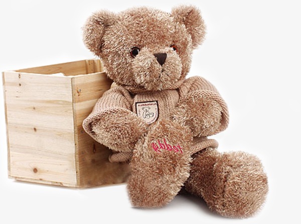 Brown teddy bear with a rose 