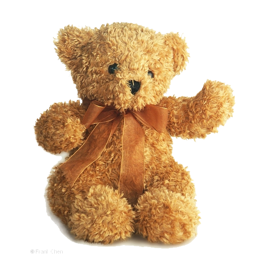 Teddy Bear Png Picture Png Image - Teddy Bears, Transparent background PNG HD thumbnail