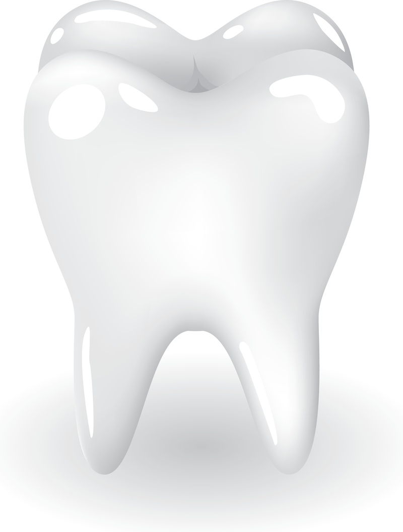 Tooth Teeth - Teeth, Transparent background PNG HD thumbnail