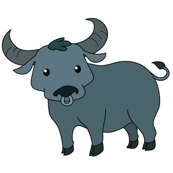 Thai Buffalo Png - Cute Thai Buffalo Standing On White Background Vector, Transparent background PNG HD thumbnail