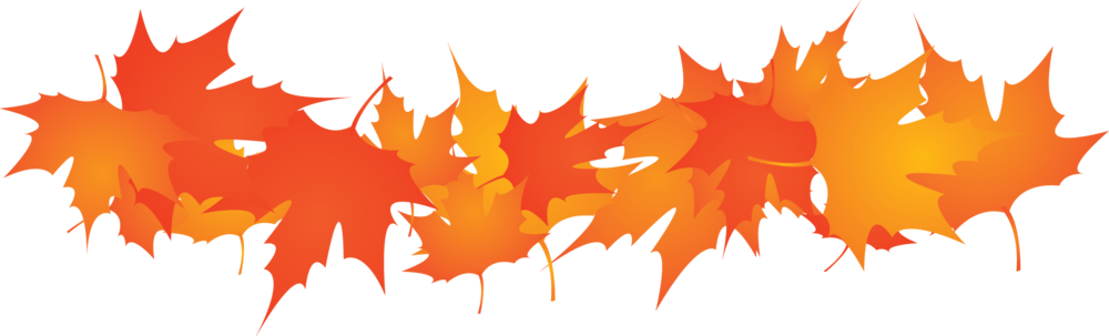 Thanksgiving PNG Picture - PN