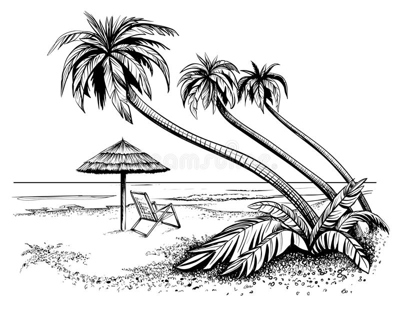 Download Ocean Or Sea Beach With Palms, Sketch. Black And White Vector Illustration. - The Beach Black And White, Transparent background PNG HD thumbnail