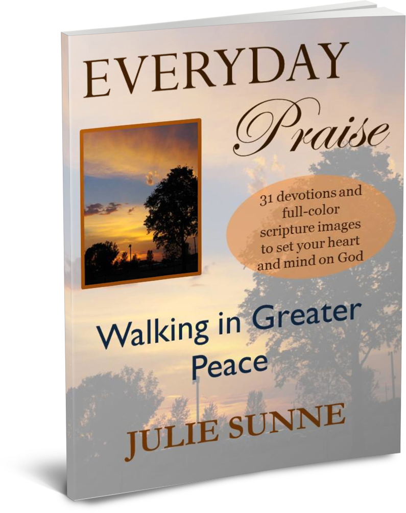 Everyday Praise Devotional - Thin Book, Transparent background PNG HD thumbnail