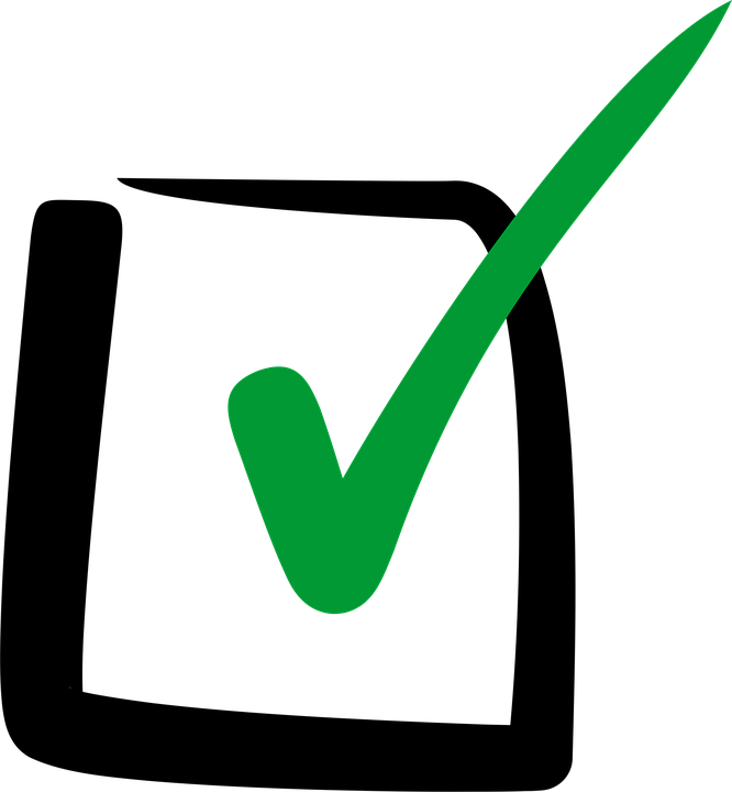 Red checked checkbox icon