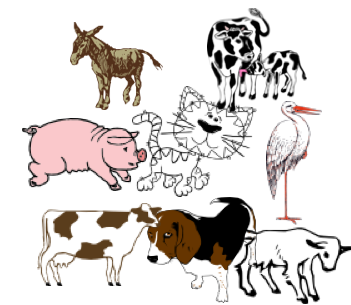 Lerne Die Tiere Auf Dem Bauernhof! - Tiere Auf Dem Bauernhof, Transparent background PNG HD thumbnail
