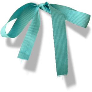 Sussiem Welcome My Little Bear Blue Ribbon 2 Sh.png - Tiffany Blue Bow, Transparent background PNG HD thumbnail