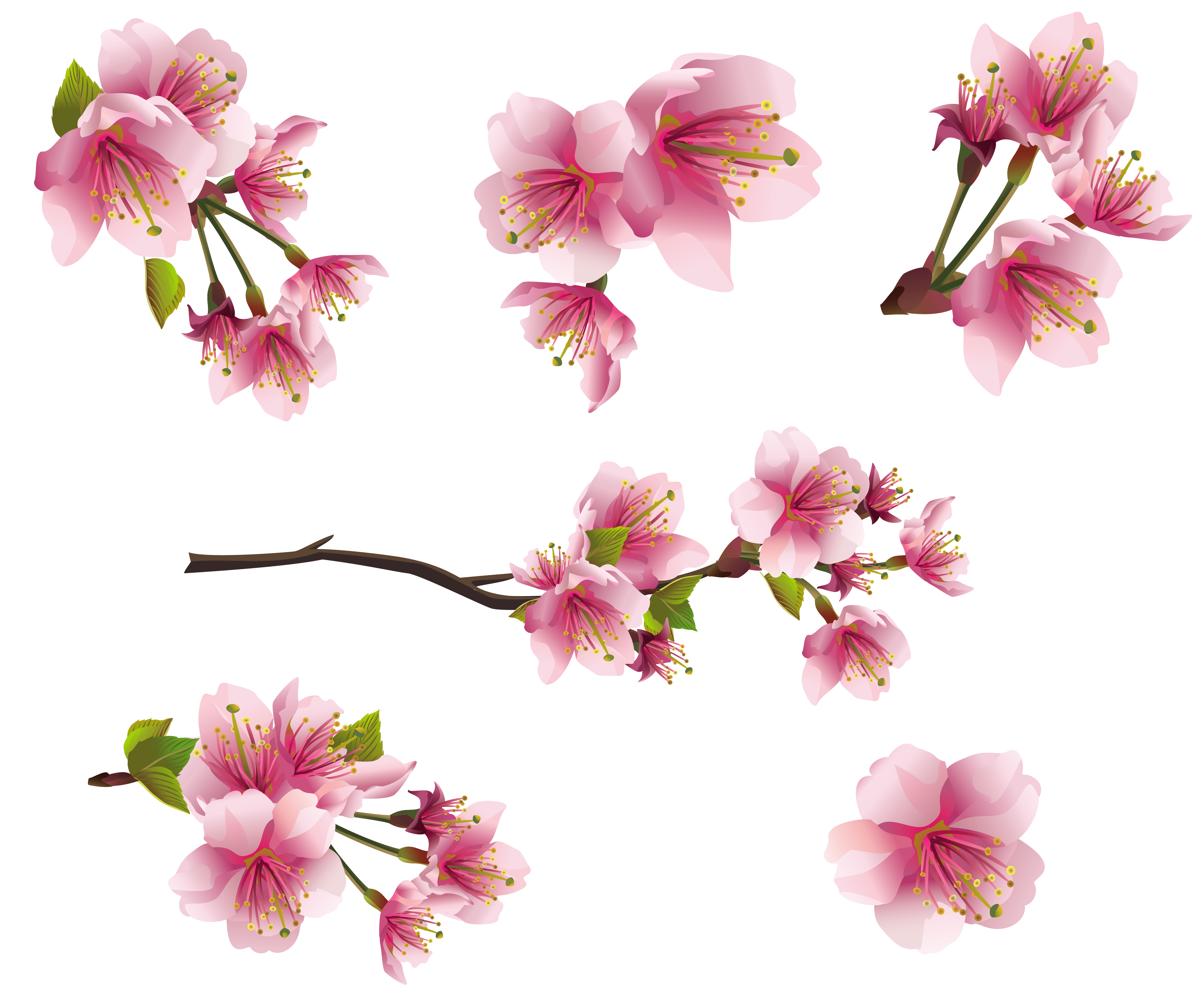 Tiny Flowers Png - Pics Photos Gallery Free Clipart Picture Spring Png Spring Pink ., Transparent background PNG HD thumbnail